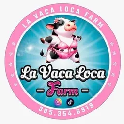 La Vaca Loca Churrasqueria | Princeton + Miami, FL