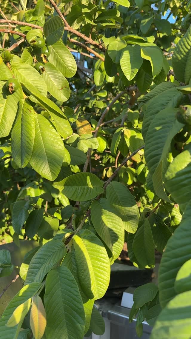 photo_02.jpg